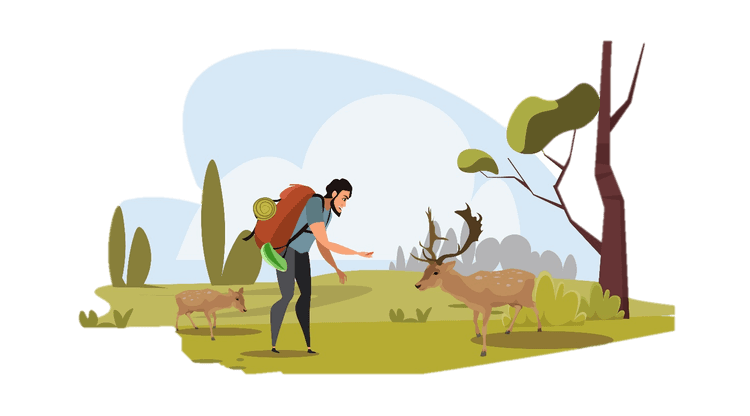 Forestry and environment focus area illustration